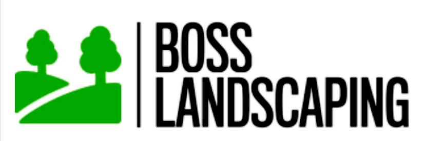 Avatar for Boss landscaping 