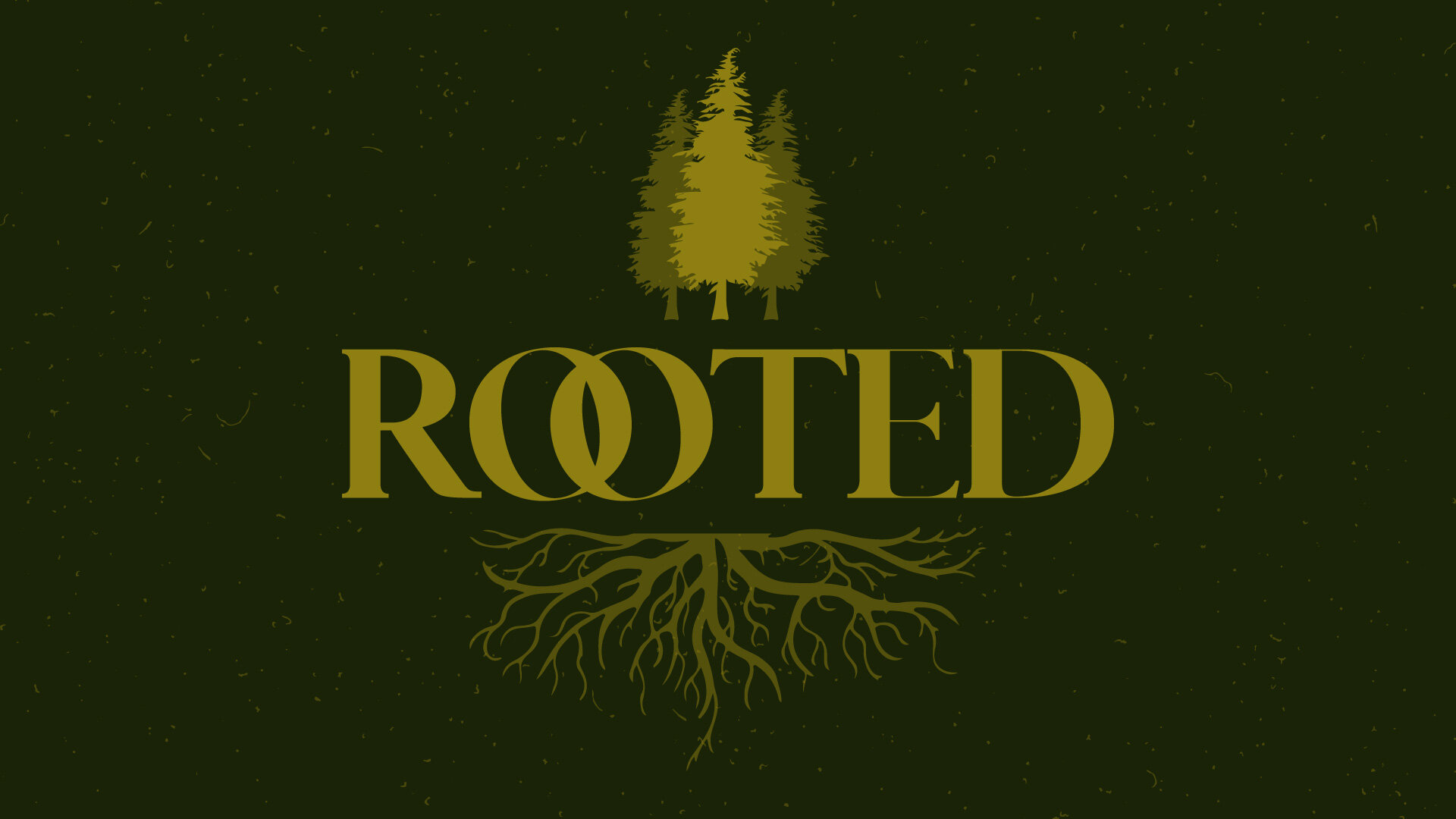 Avatar for Signature One