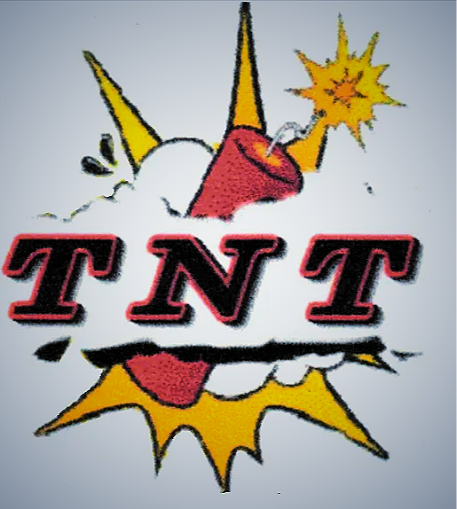 Avatar for TNT Professional Painting
