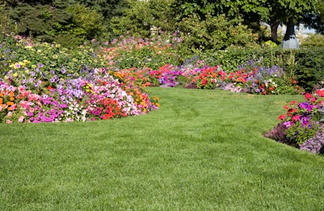 Creating Nature Lawn Care logo