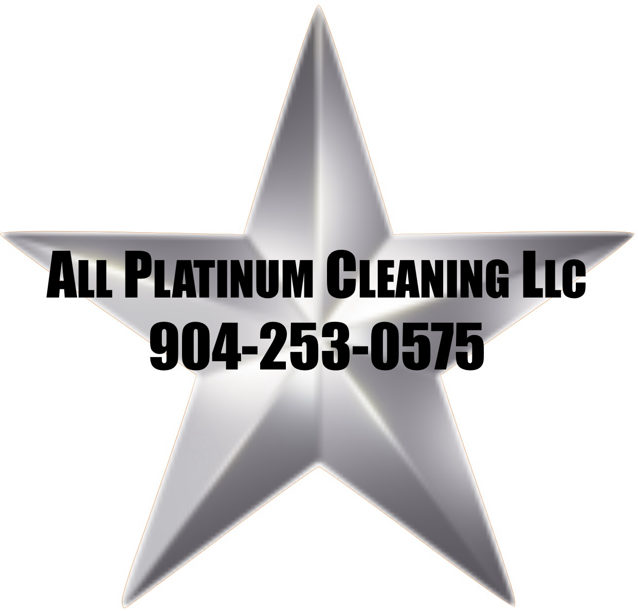 Avatar for All Platinum Cleaning