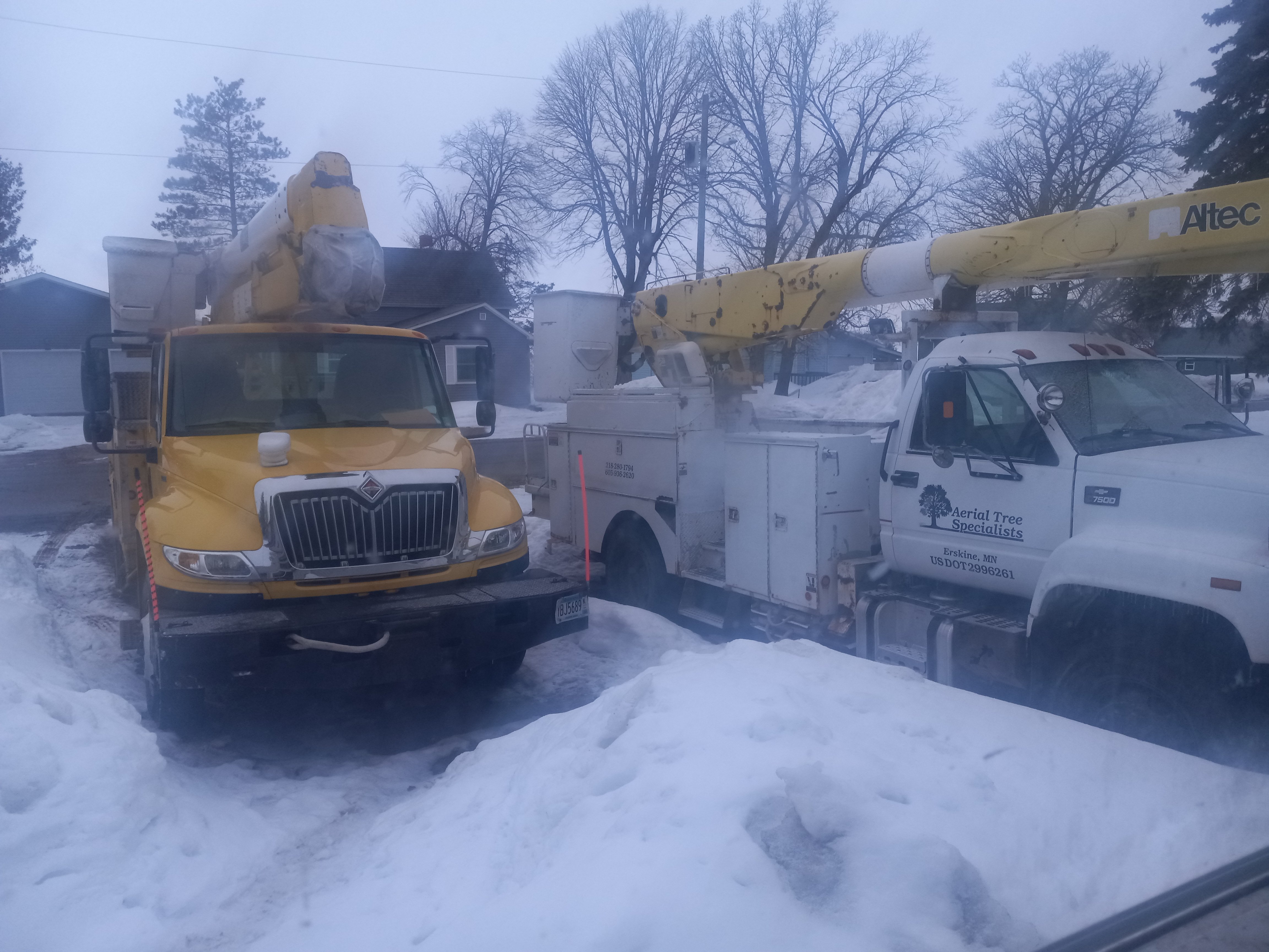 Avatar for Aerial tree specialists