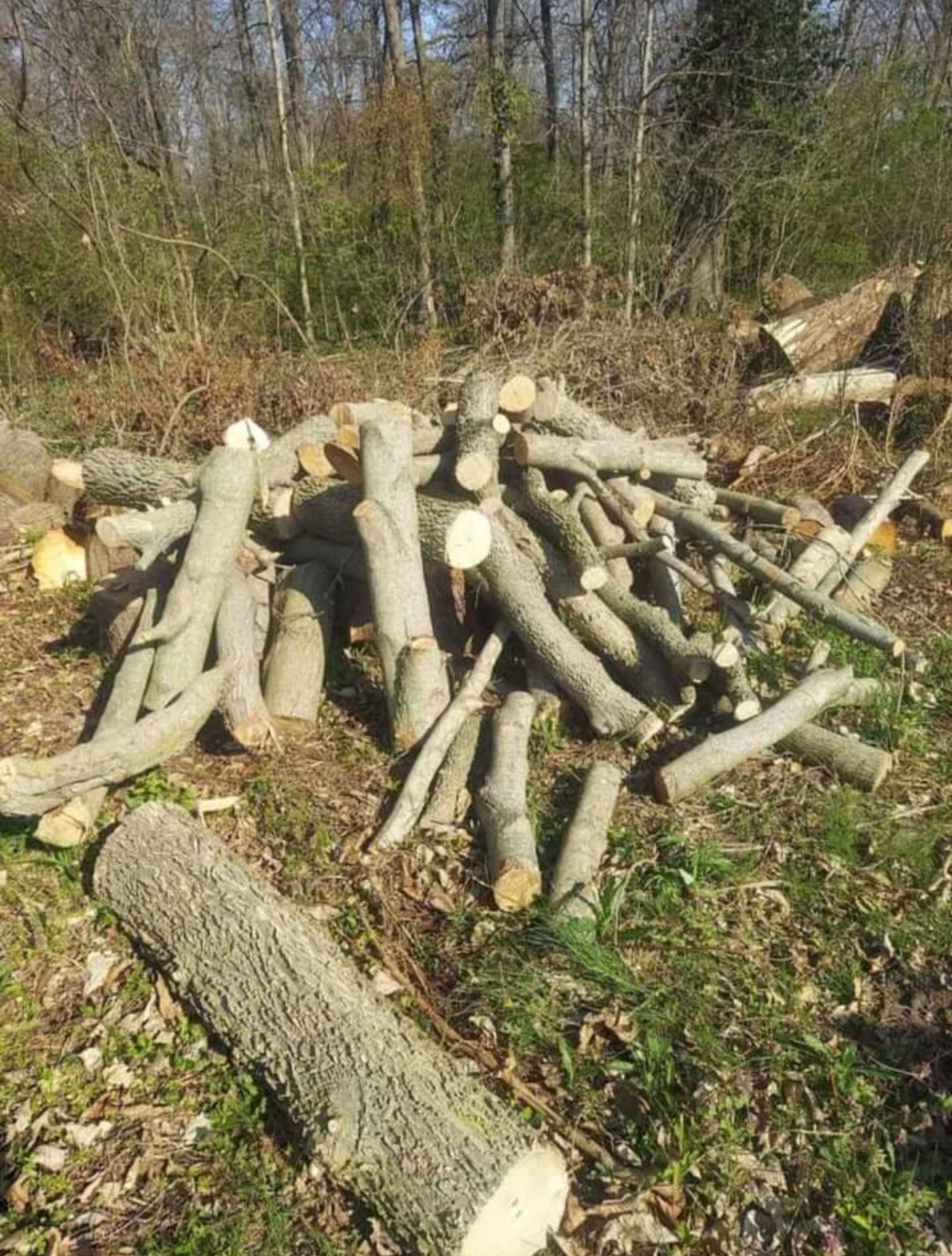 Avatar for Josh Scarberry