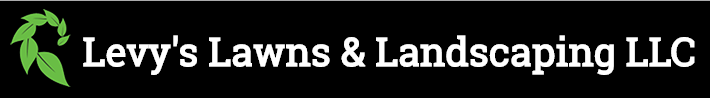 Avatar for Levy's Lawns & Landscaping LLC