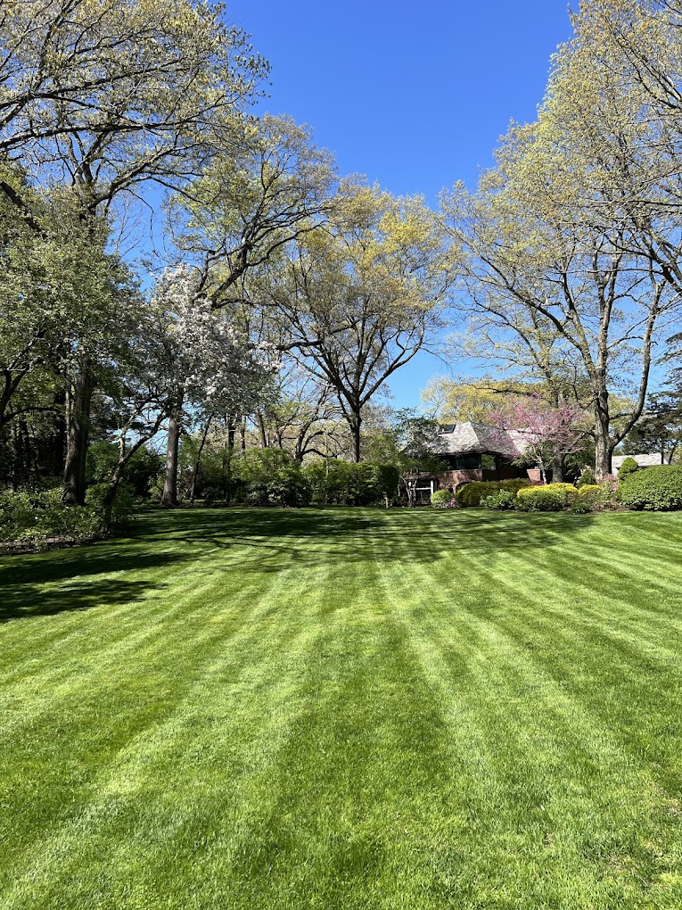 Avatar for Hayden Landscape