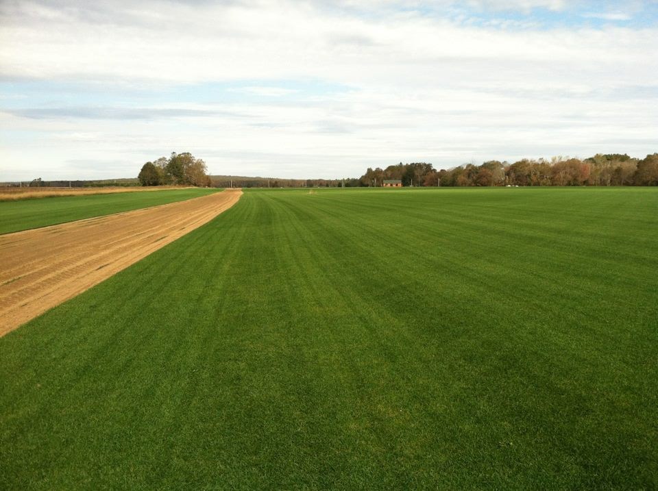 Our Turf Field 