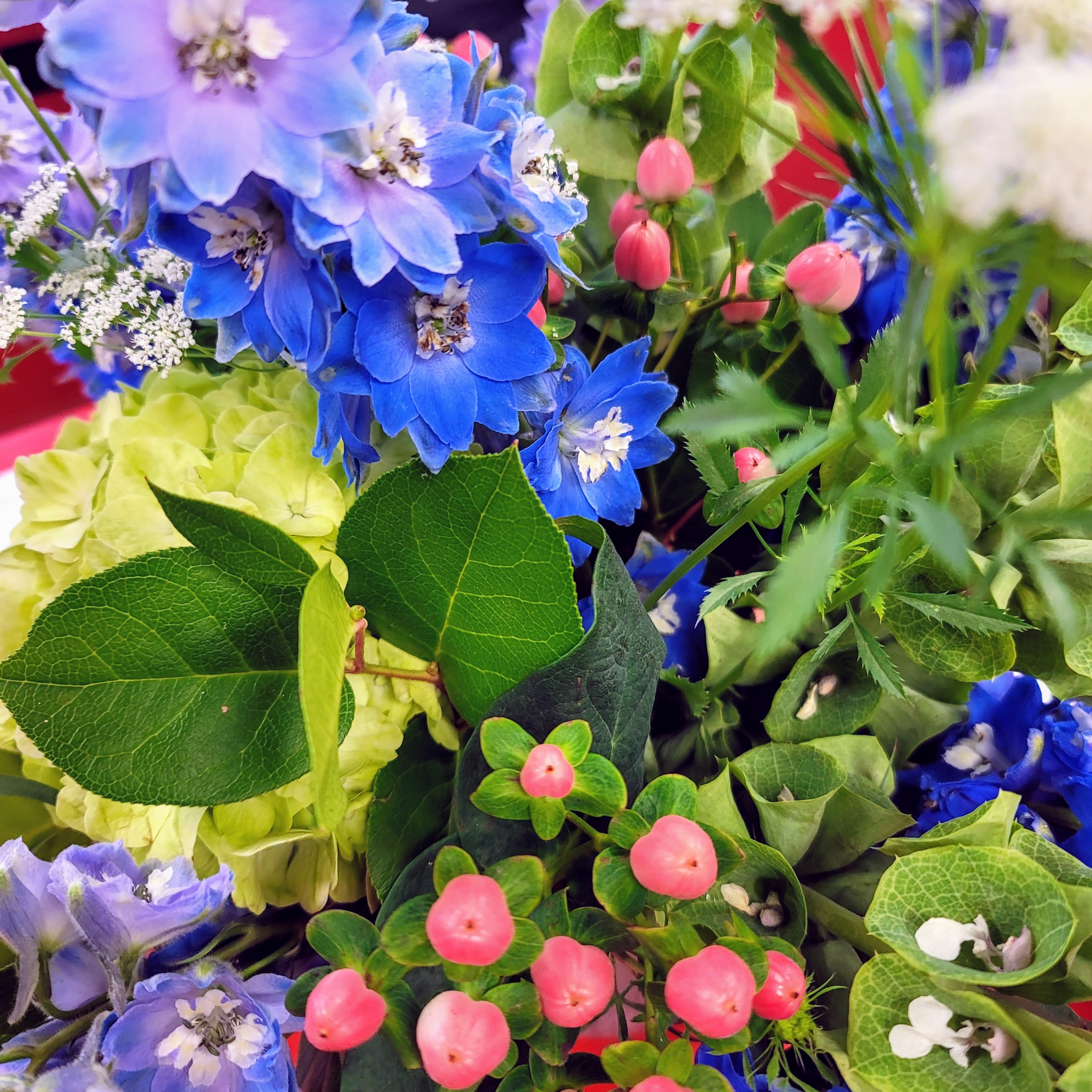 Avatar for Satipatthana - Total Home Care