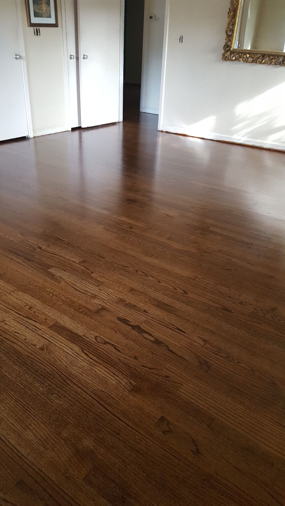 Casper Wood Flooring Jacksonville Fl Floor Roma