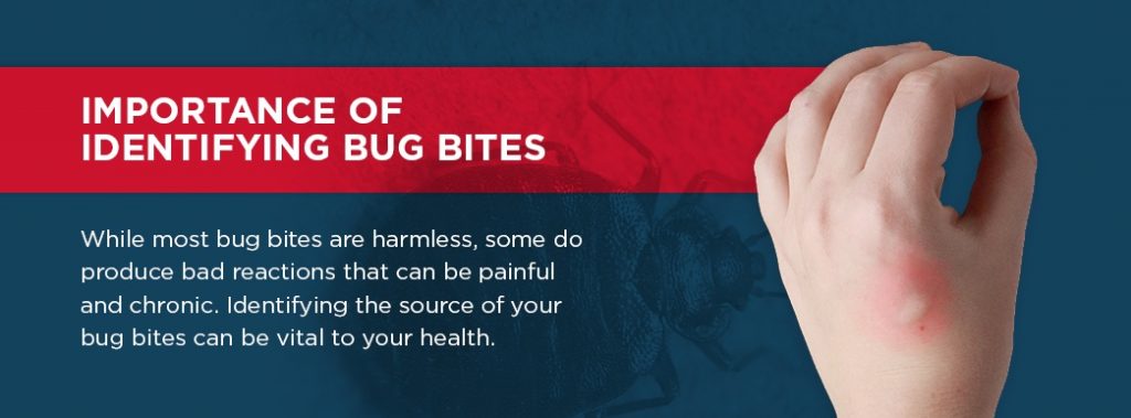 Spectrum Pest Control Reviews - Pittsburgh, PA | Angi