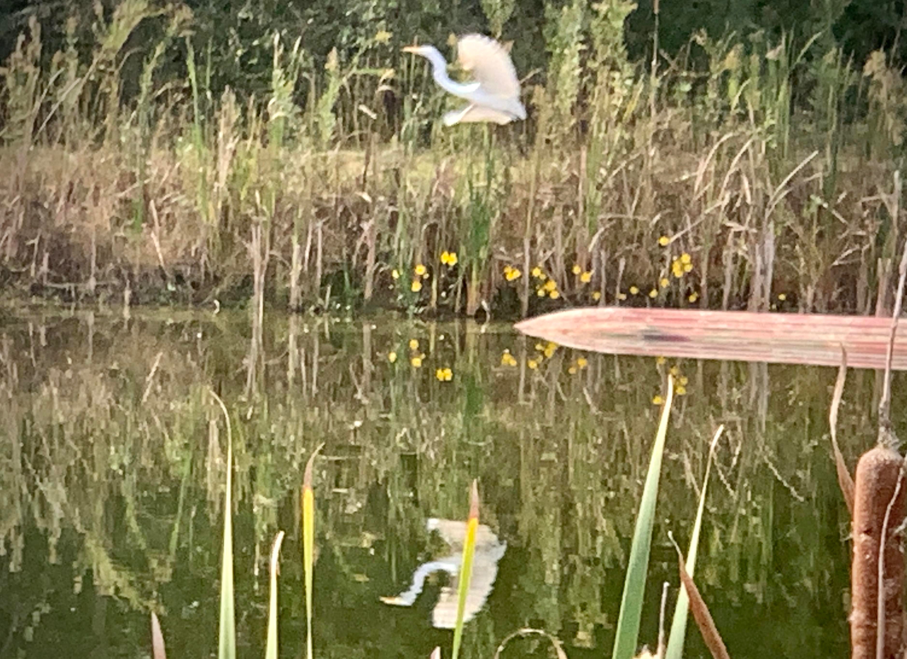 Avatar for HAILMARY construction 