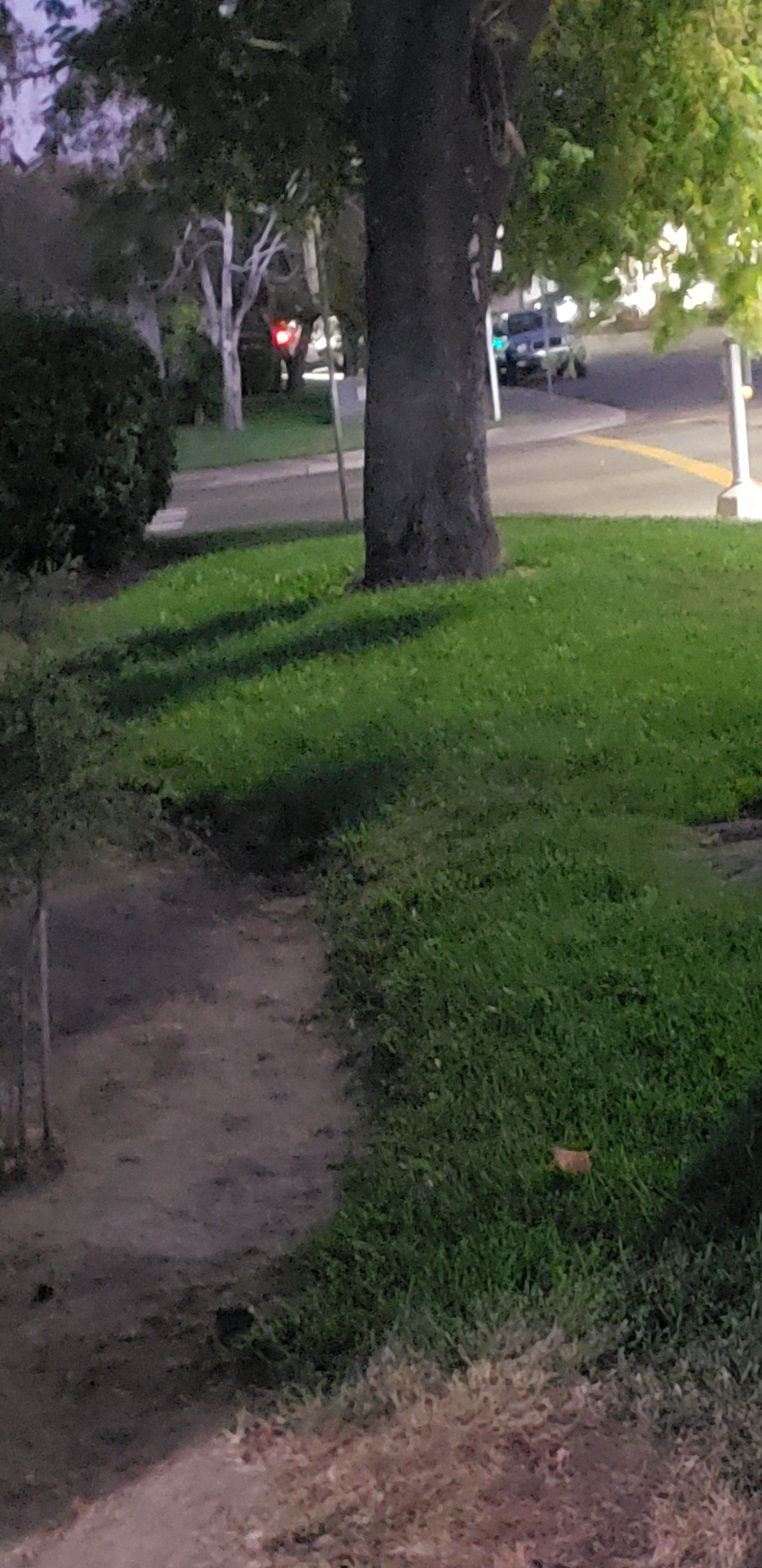 Avatar for LoveMyLand - land preservation 