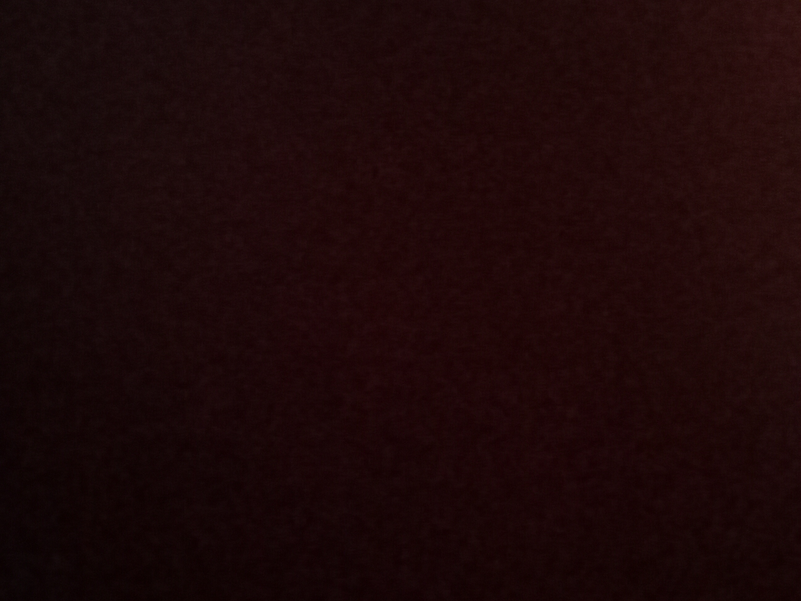 Avatar for Littestreestumpremoval