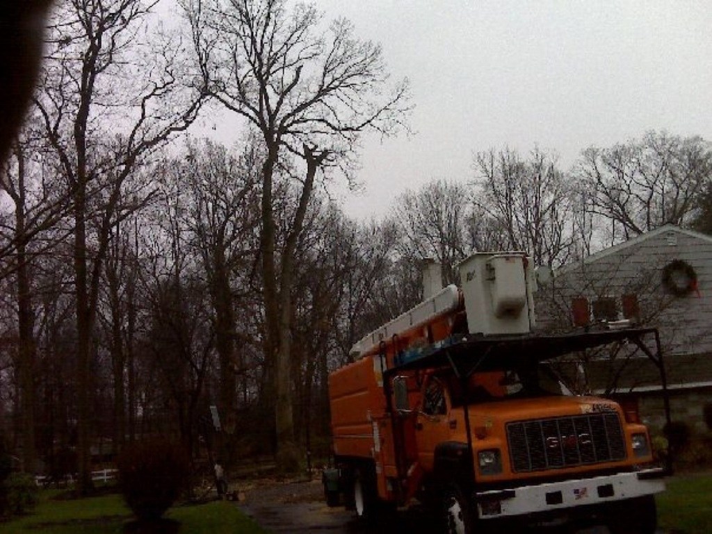 Top notch tree care logo