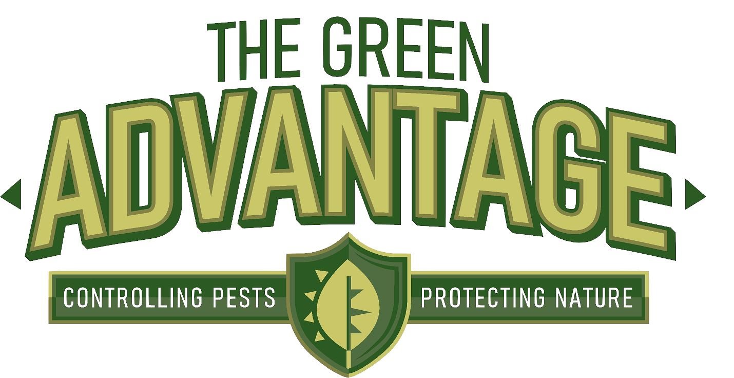 Avatar for The Green Advantage