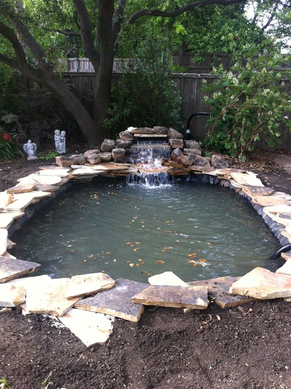 Pond with waterfall