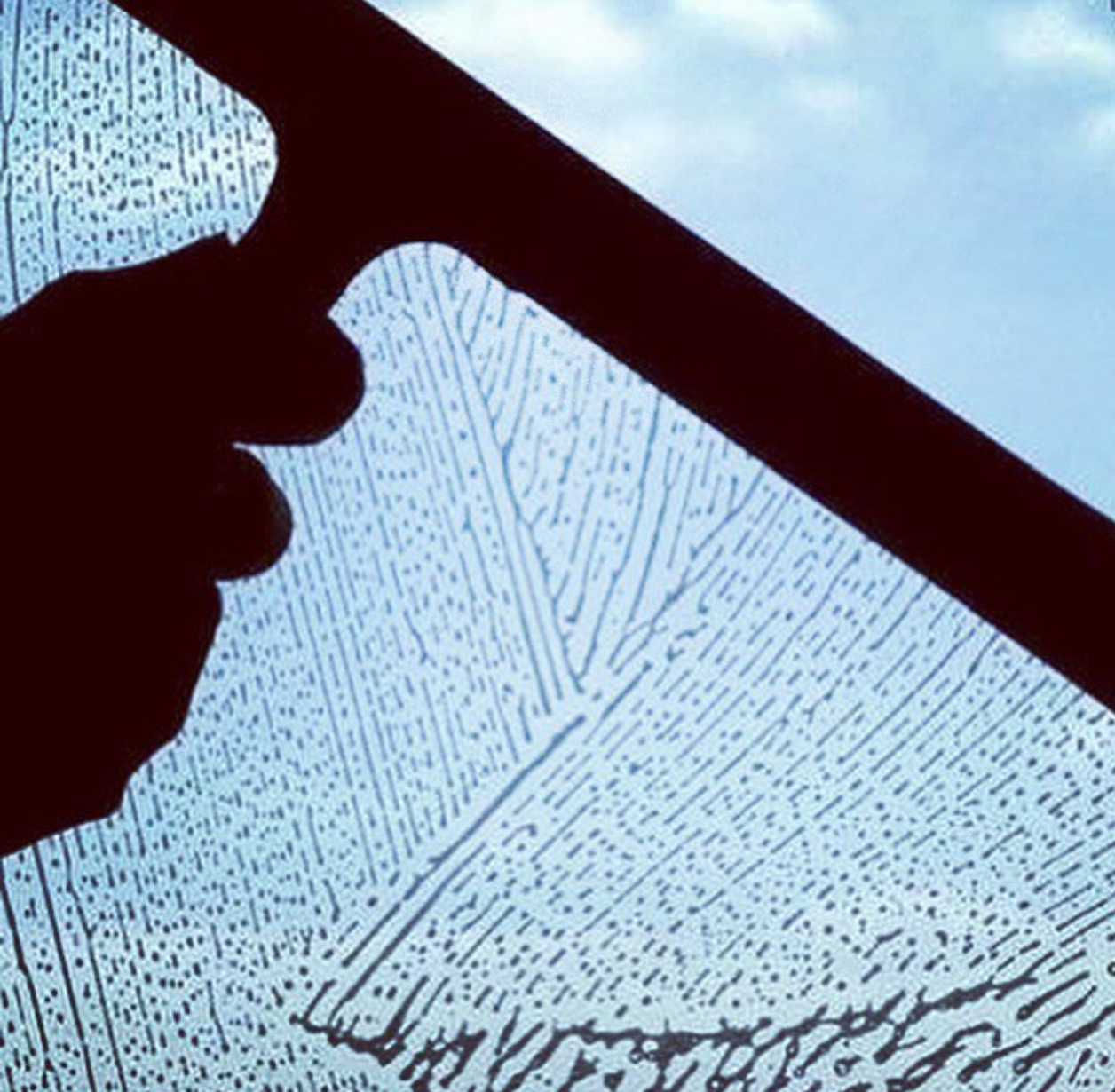 Avatar for Superior cleaning solutions llc and moving