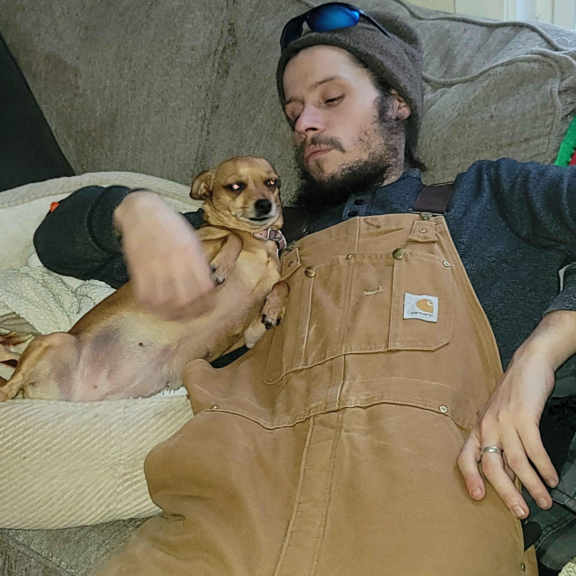 Avatar for Peter's lawn care