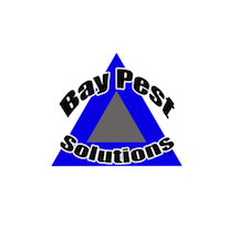 Avatar for Bay Pest Solutions