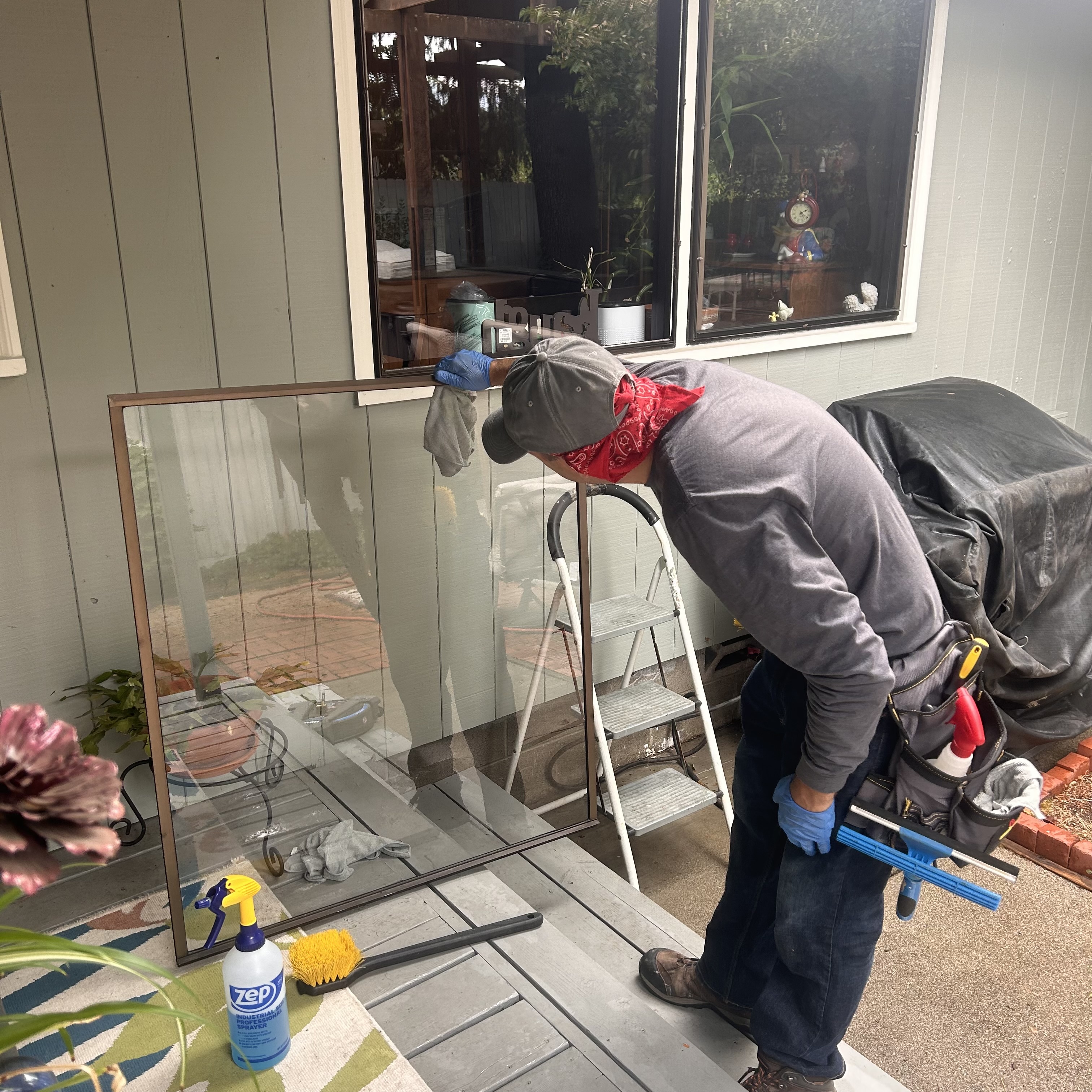 Avatar for Rogue Consultation Cleaning