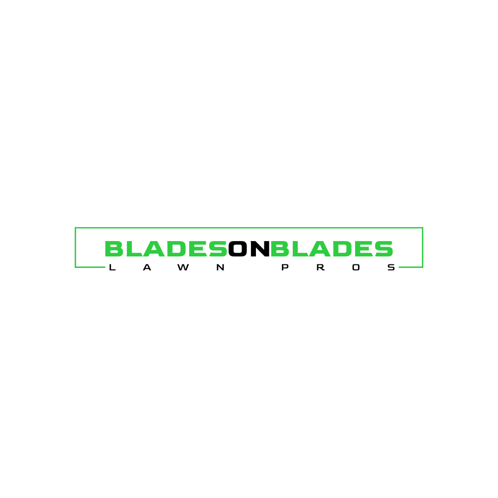 Avatar for Blades on Blades 