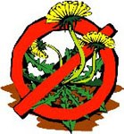 Avatar for Az Best Weed Control