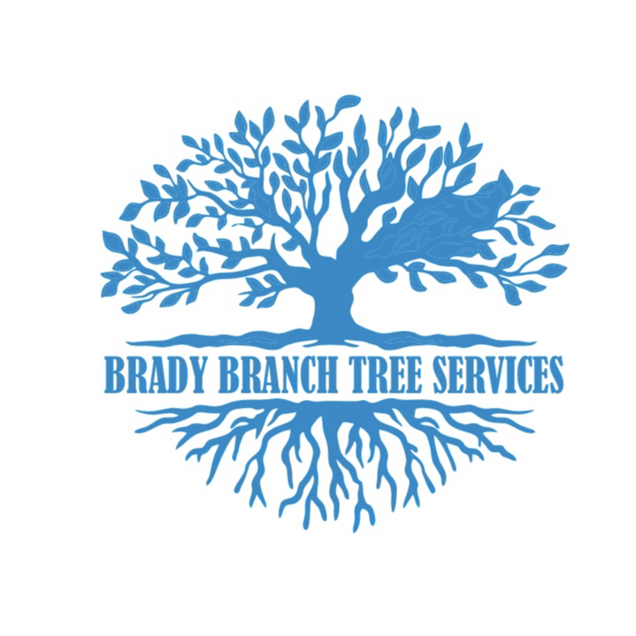 Avatar for Brady Branch Tree Service