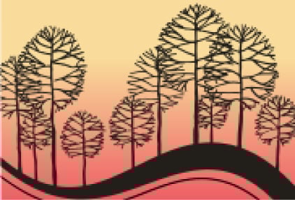 Avatar for Stepleton's Outdoor Development