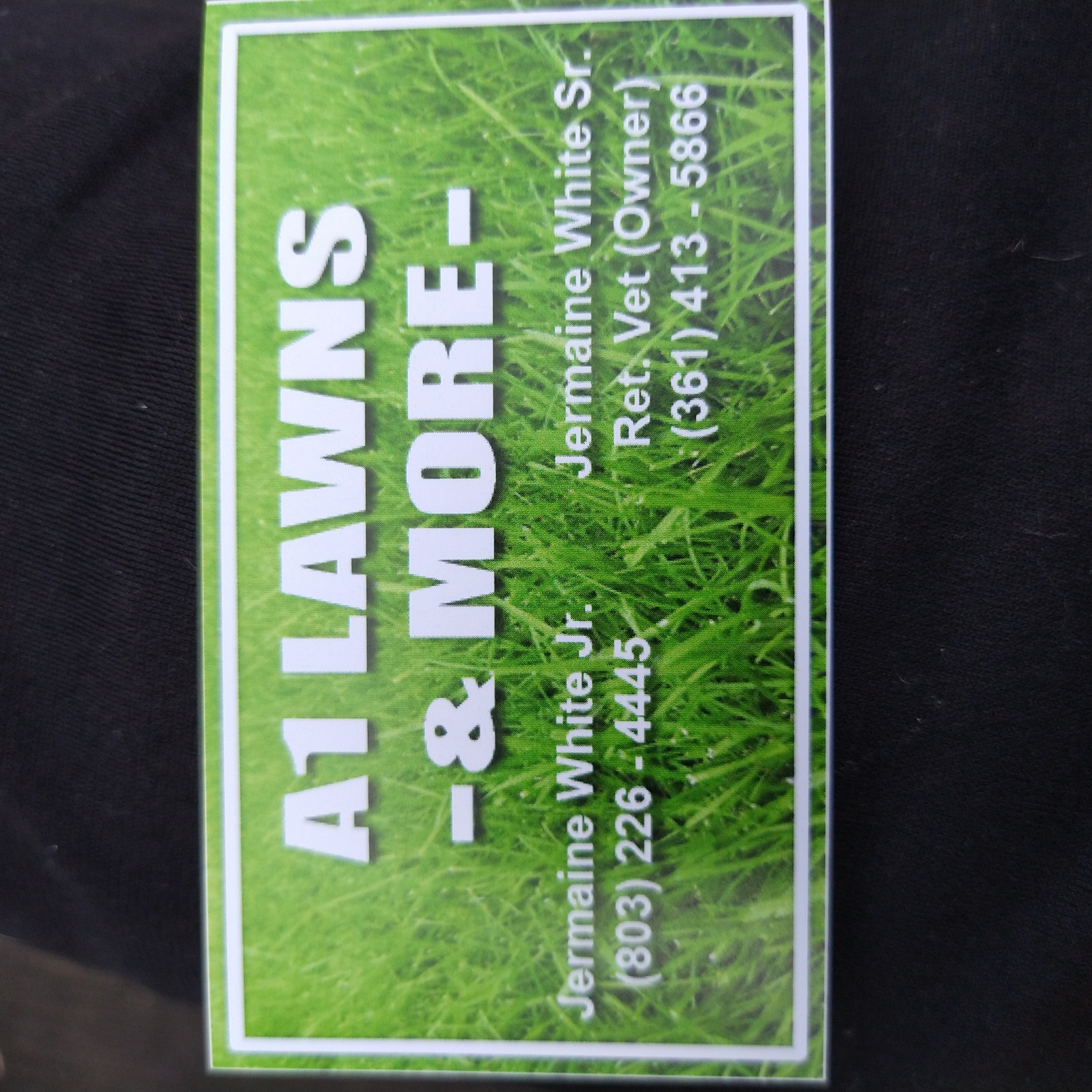 A-1 Lawns & More logo