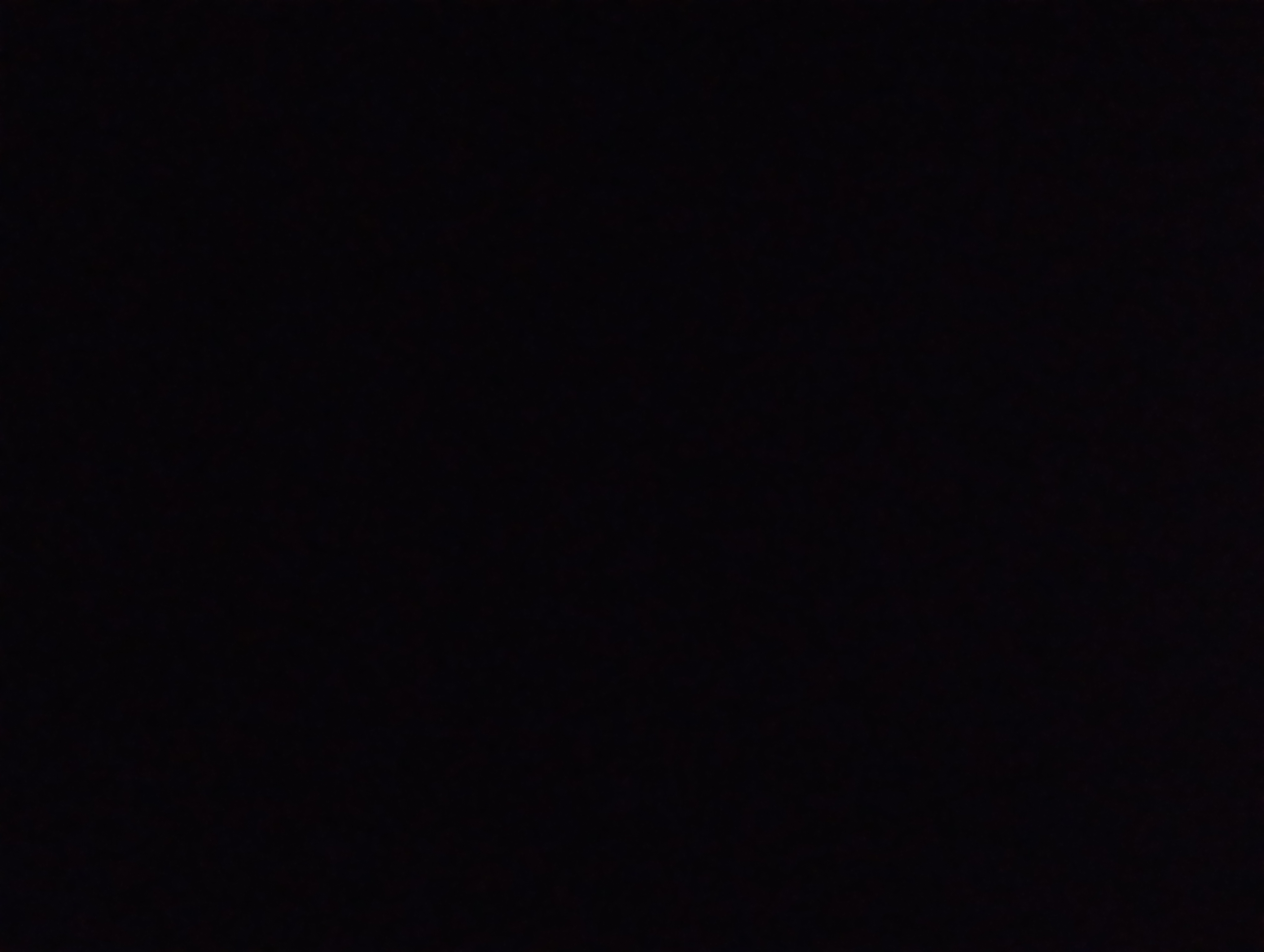 Avatar for Liz's house cleaning