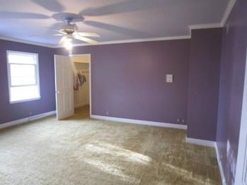 Avatar for Paradise Touch Painting and pressure washing