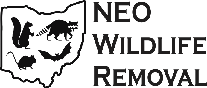 Avatar for NEO Wildlife Removal