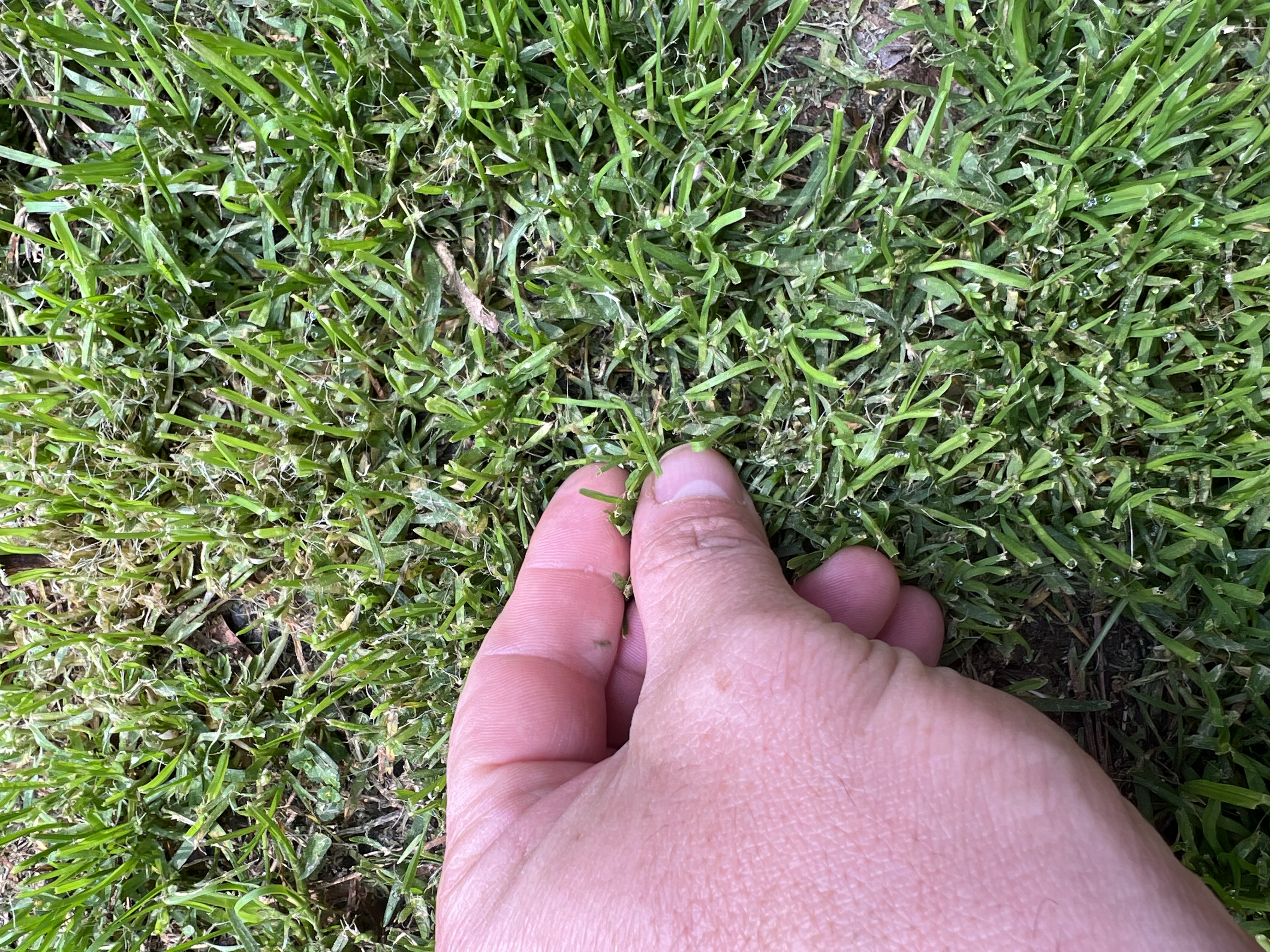 Avatar for JLC landscaping. 