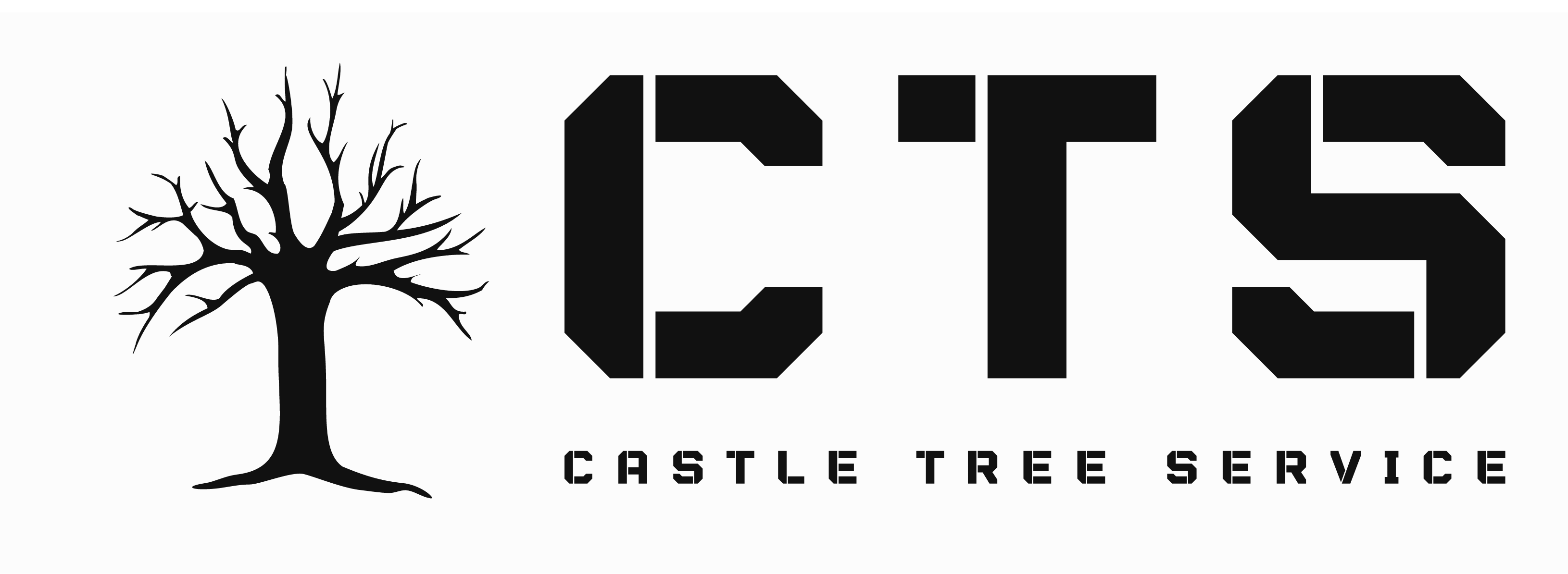 Avatar for Castle Tree Service 