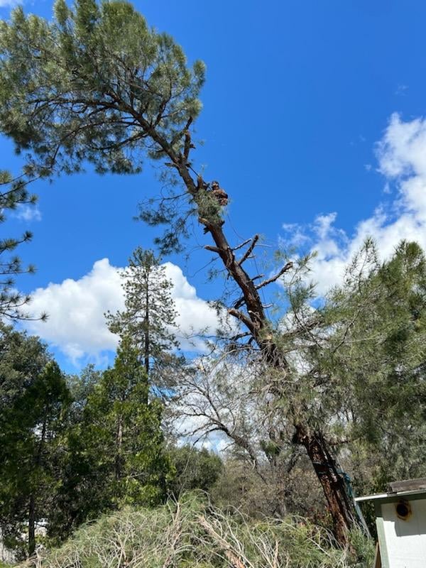 Avatar for J&H Handyman Service LLC