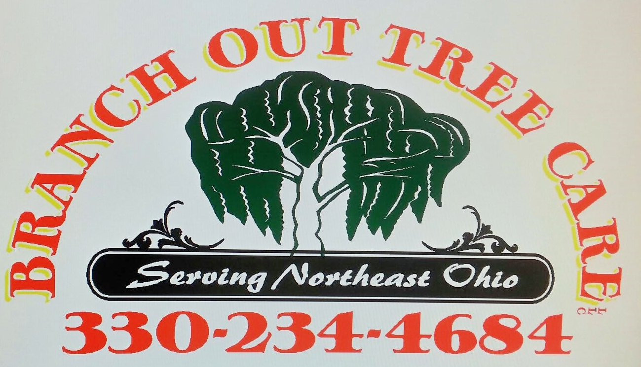 Avatar for Branch Out Tree Care llc
