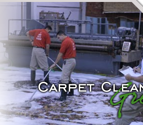 Avatar for Rug Wash Inc - NYC