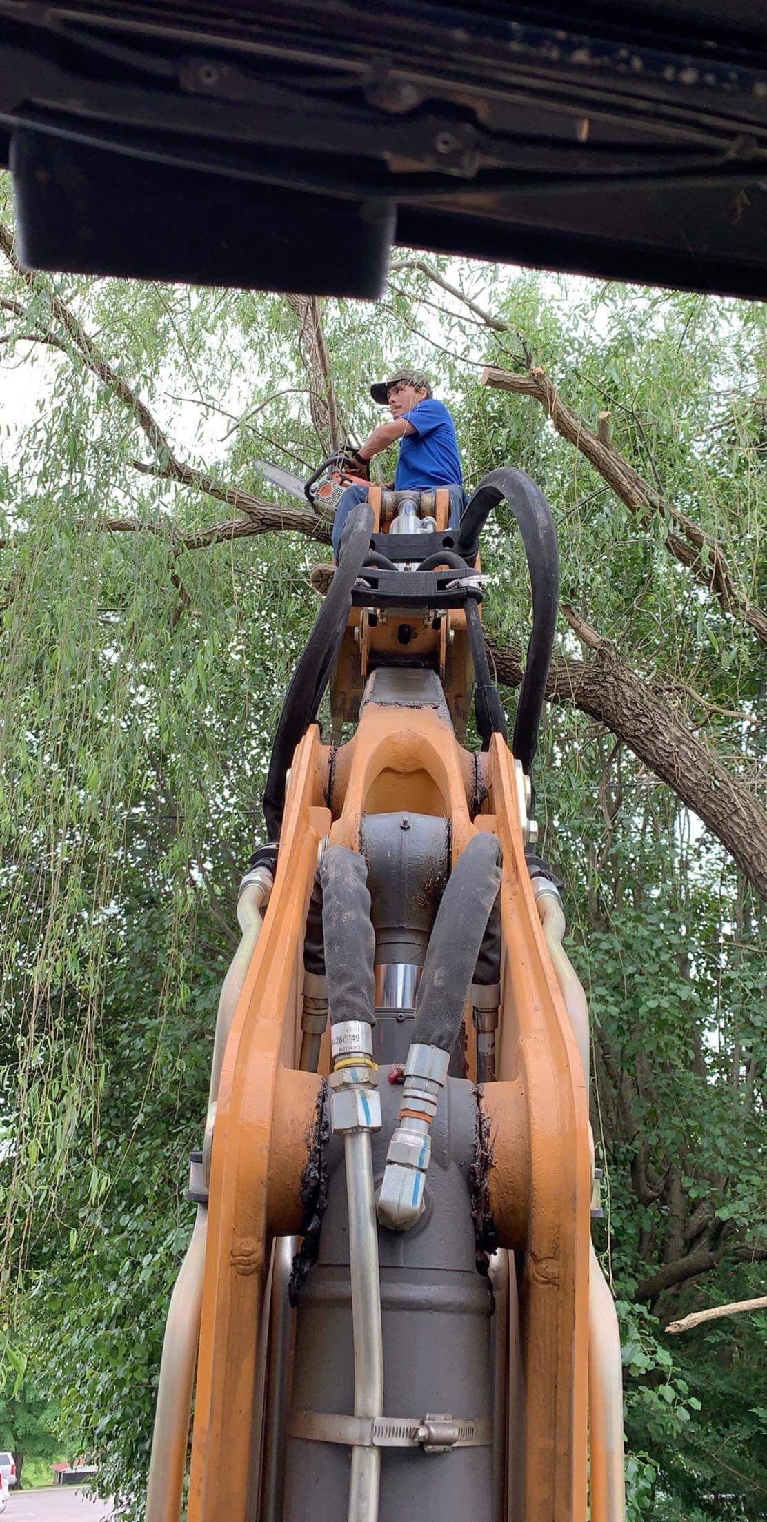 Avatar for Erin’s landscaping 