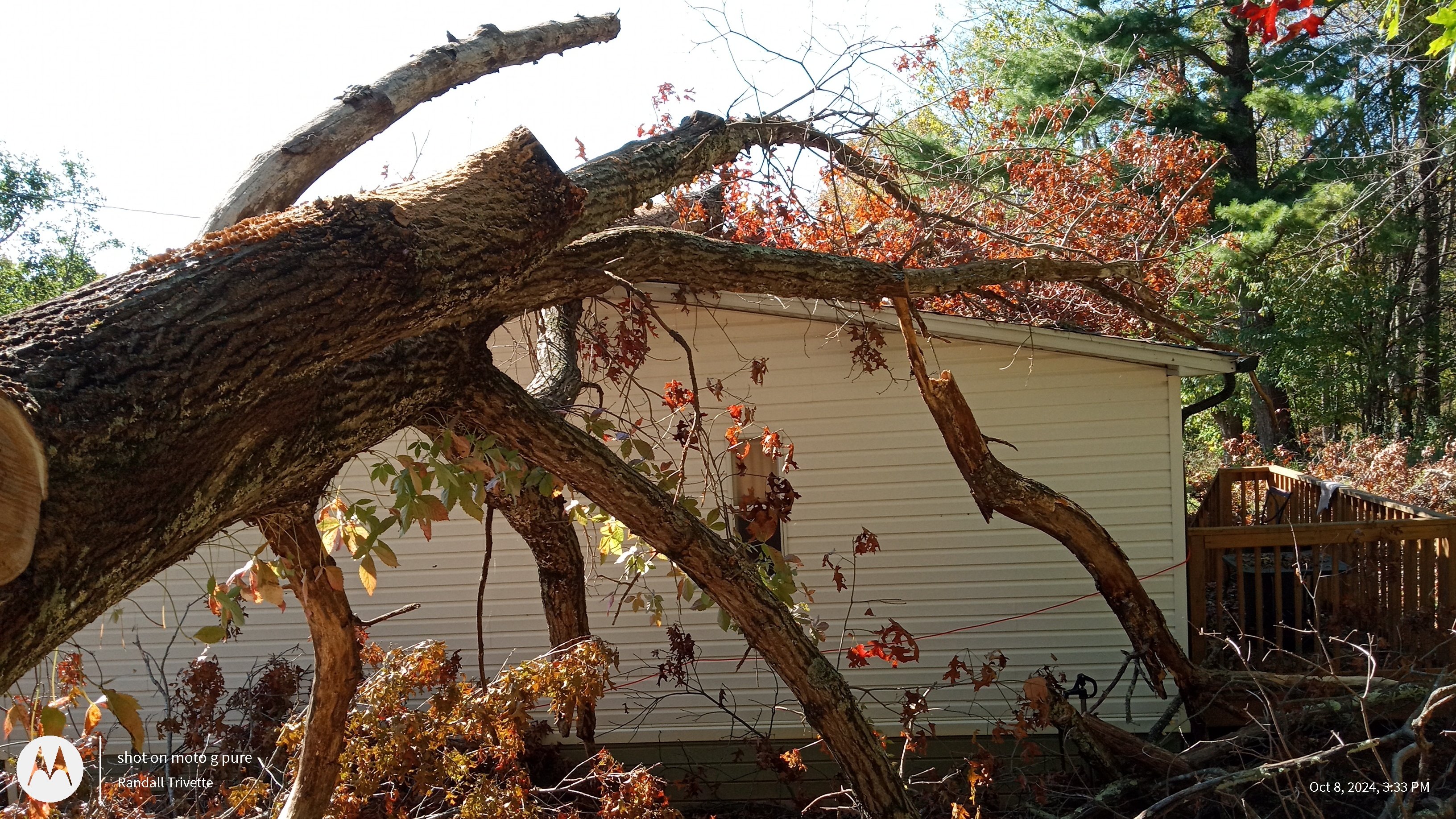 Avatar for C-N-R tree services