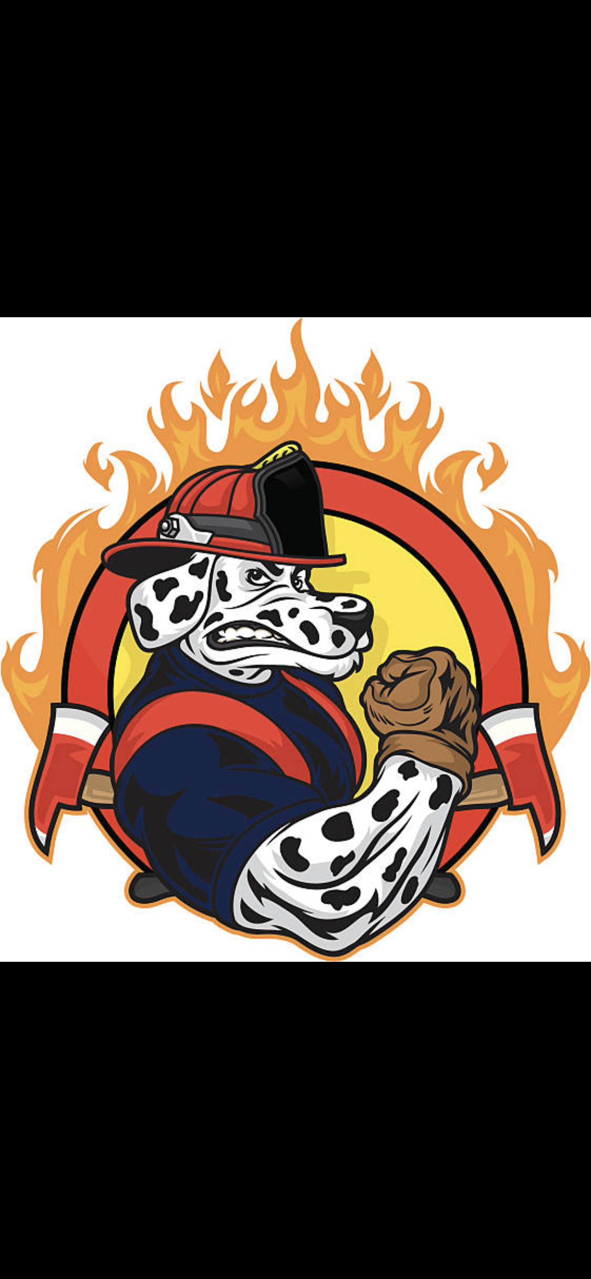 Avatar for Fitzhughs Junk Removal