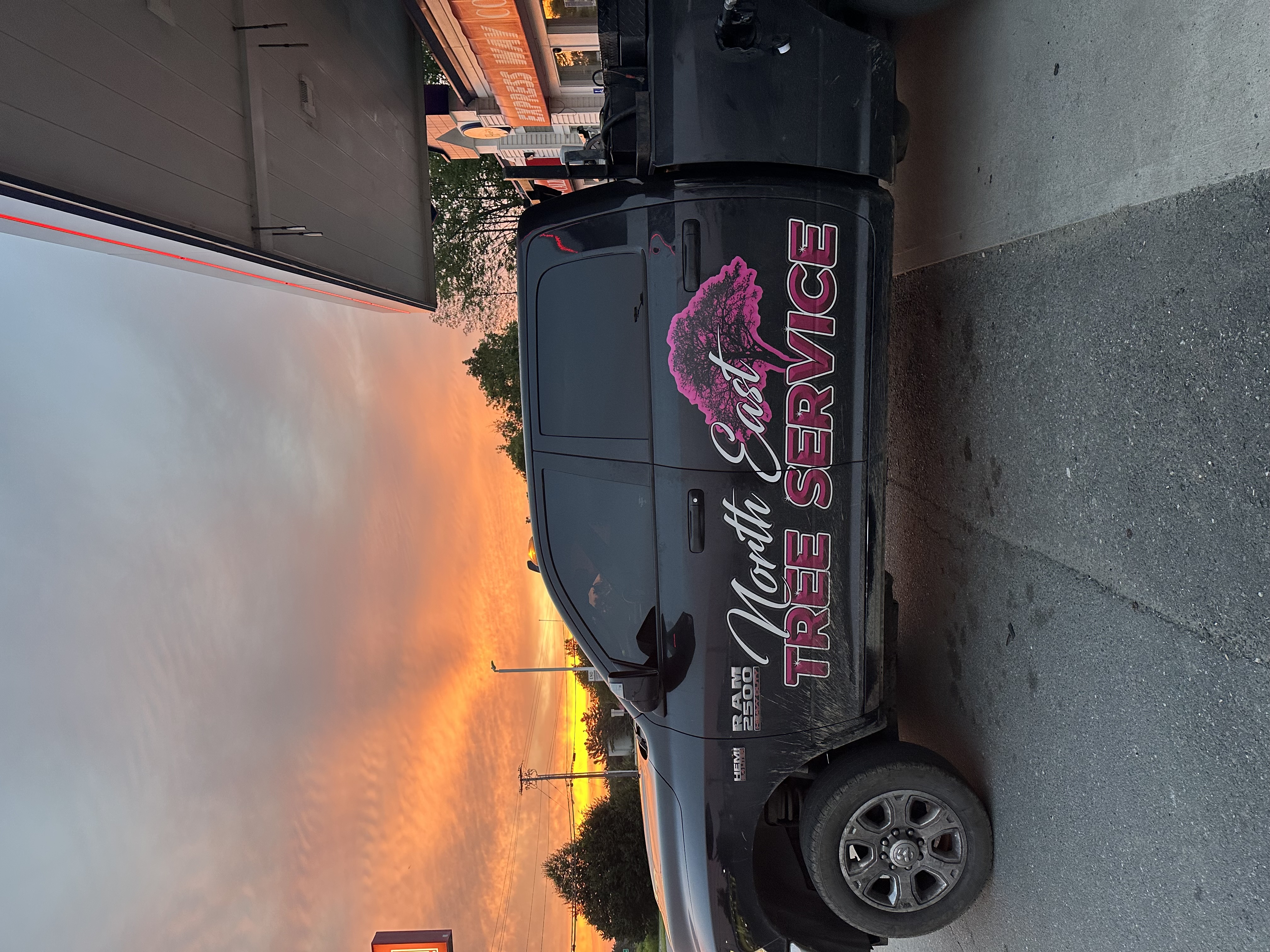 Avatar for North East Tree Service