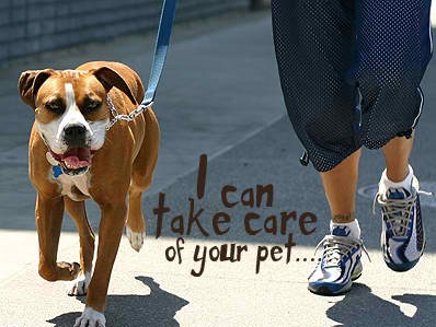 Pet Services
