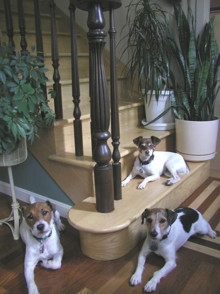 Avatar for OLDE TYME CRAFTSMEN, LLC Exquisite Wood Floors