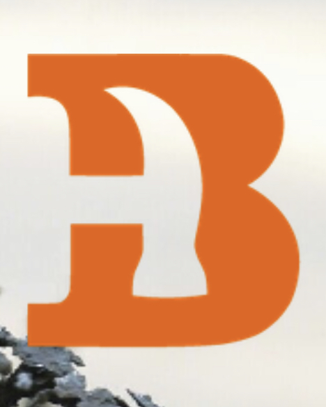 Avatar for Blancos construction