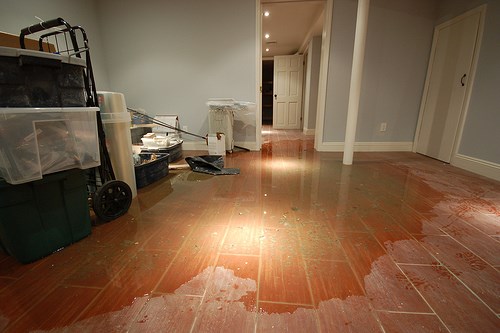 Avatar for Premier Restoration & Clean Up