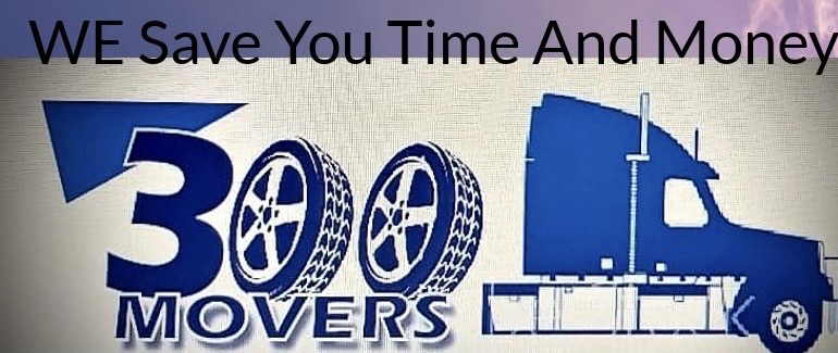 Avatar for 300 Movers LLC
