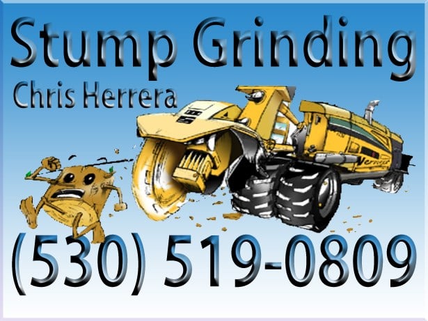 The Stump Surgeon logo