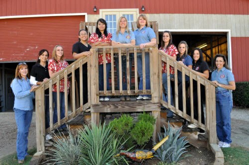 Circle Star Pet Resort Staff