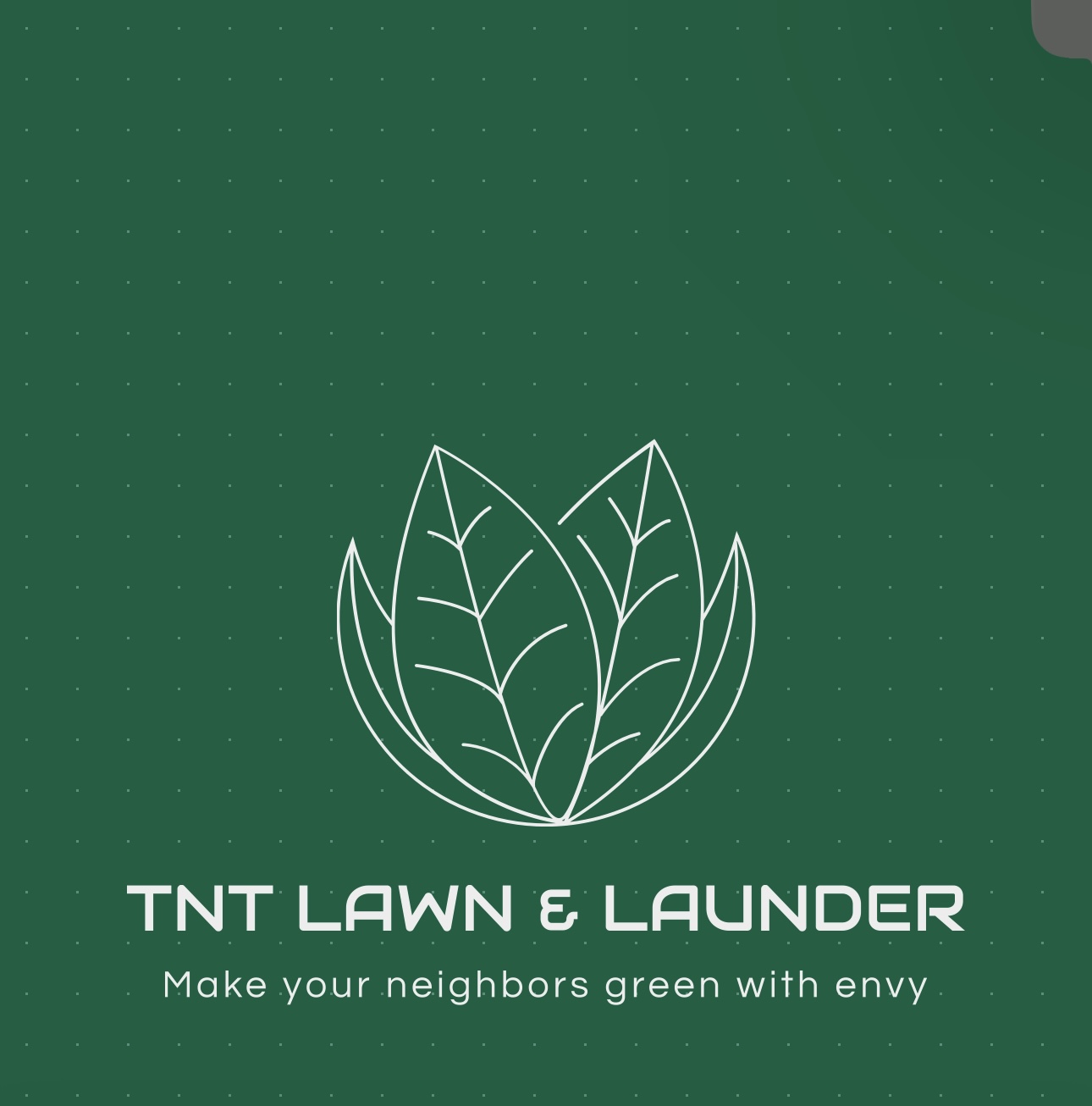 Avatar for TNT LAWN & LAUNDER