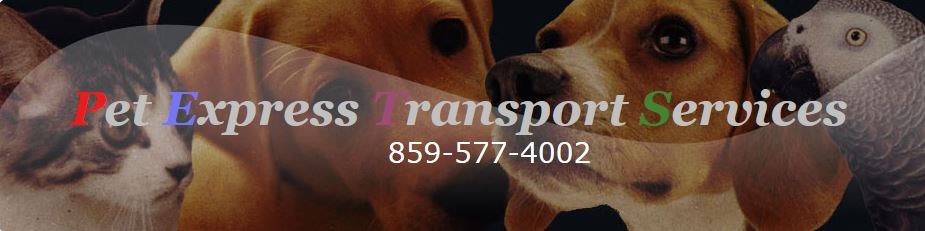 Logo for Pet Express Transport Service LLC