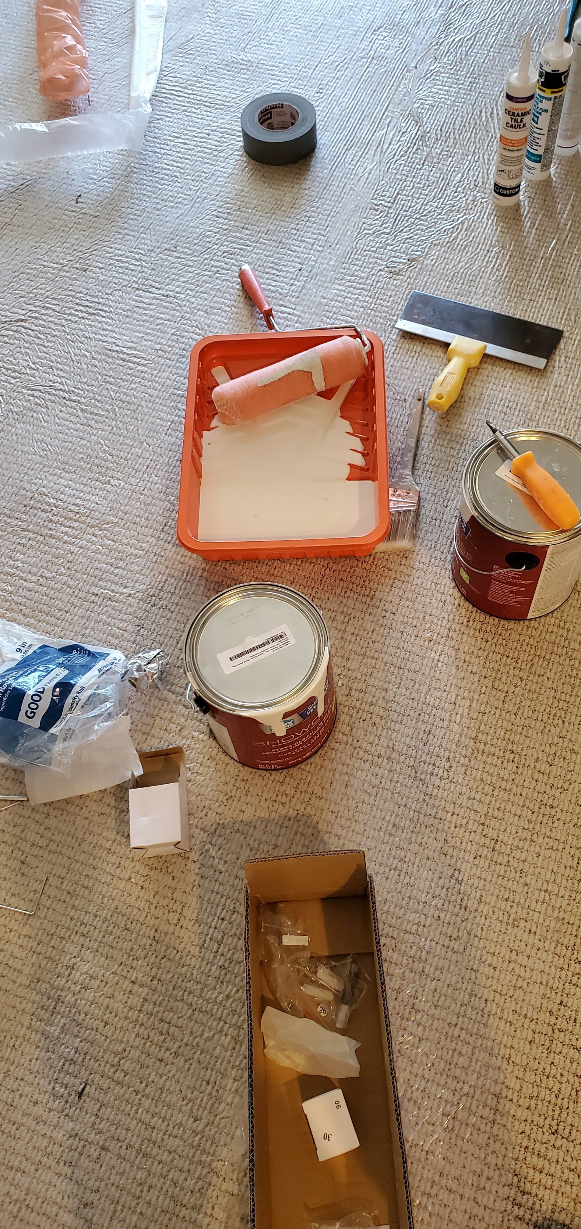 Avatar for Bobbys world